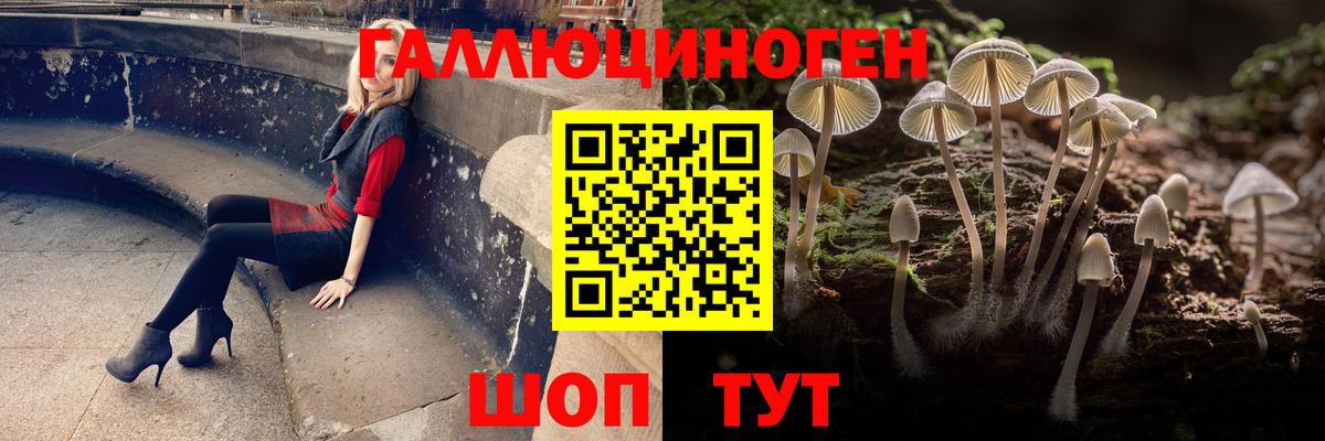 Галлюциногенные грибы GOLDEN TEACHER  Вход с VPN  сколько стоит  Псилоцибиновые грибы прущие грибы  Лыткарино 